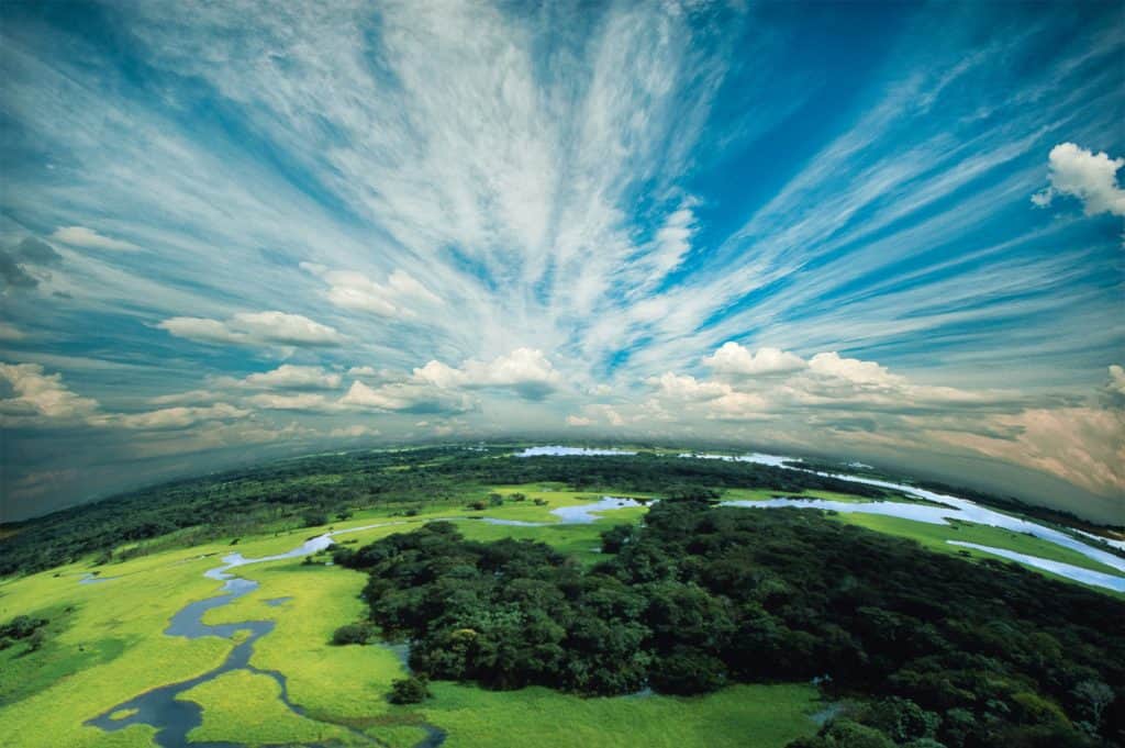 Image - Pianeta-Amazonia-1024x681.jpg